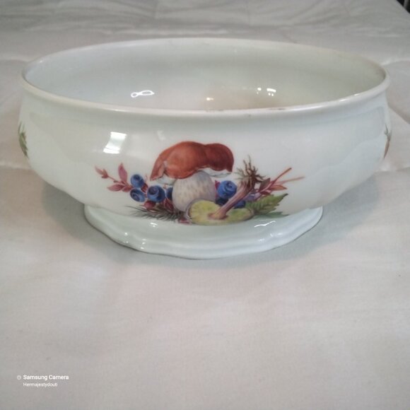 ROSENTHAL Bahnhof Selb Germany "Chippendale" Porcelain Autumn Nature Theme Bowl - Picture 1 of 9
